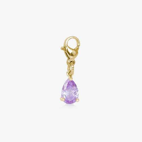 Lynn Amethyst Charm in Gold